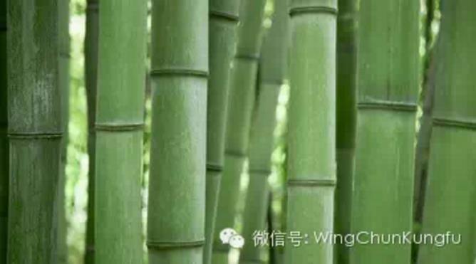 【太極拳解】_027.物來順應(yīng)