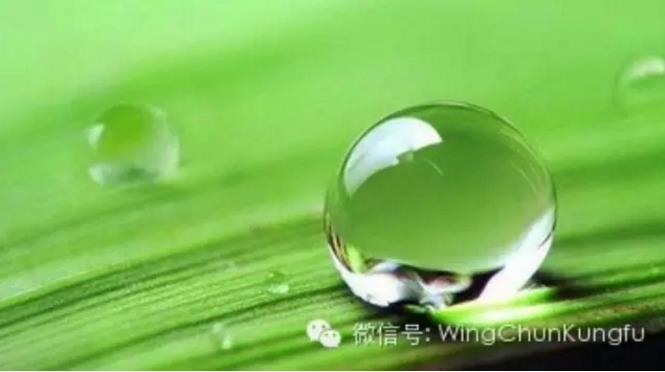 太極拳經(jīng)歌訣_054.平衡感應(yīng)